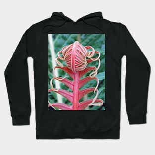 Brazilian Tree Fern Hoodie